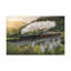 No Frame Print on Canvas-417197898