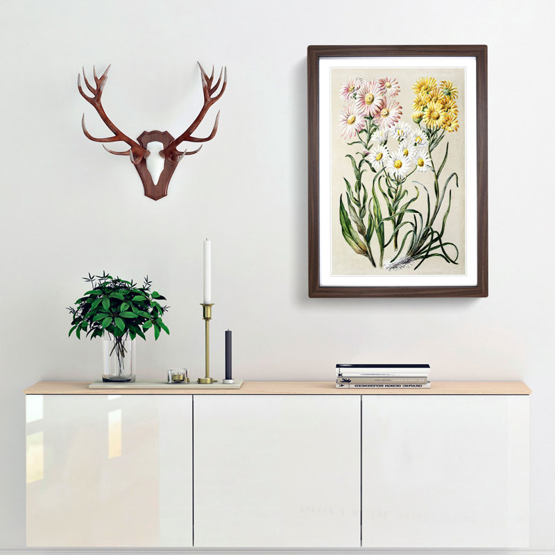 Groundsel Daisy Flowers by Sarah Featon - Picture Frame Painting Print, 48cm H x 36cm W x 2cm D, Walnut Framed