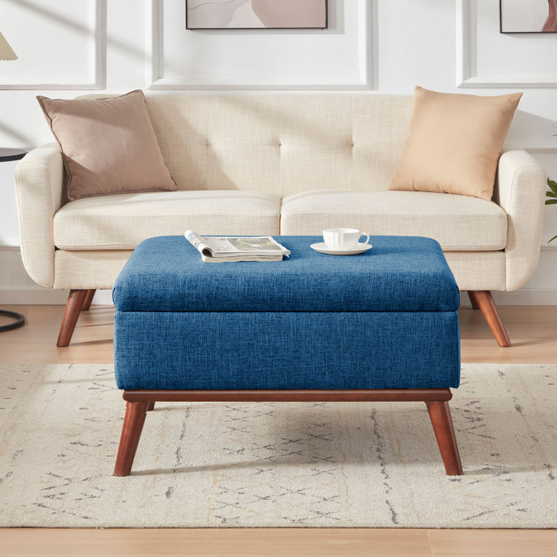 Repose-pieds rectangulaire avec rangement l 28,35 po Jadier, Bleu
