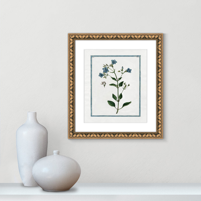 Colombe Shabby Elegance Botanical II - Framed Art, Gold Bead Framed, 14" W x 16" H