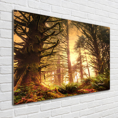 Glass Print Wall Art 100X70cm Image Printed On Glass Decorative Wall Picture Behind Toughened / Tempered Safety Real Glass For Kitchen & Living Room Theme:The Rainforest