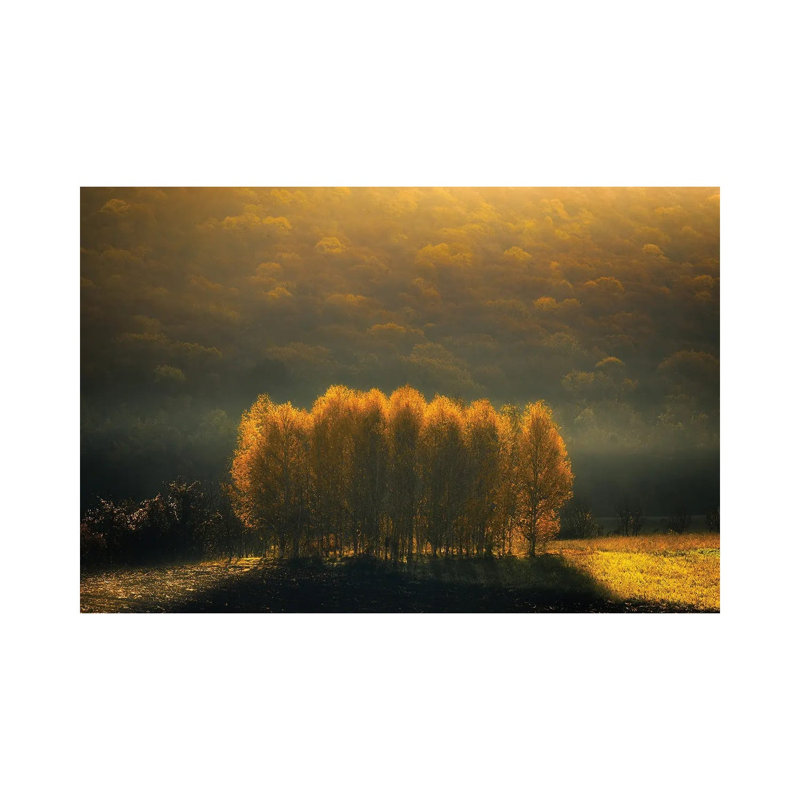Morning Light by Anghel Rusu - Wrapped Canvas Print