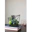 Arrangement de plantes grasses artificielles 6,75 po