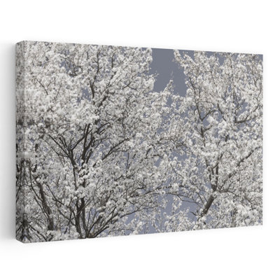 Art mural éthéré à fleurs blanches délicates