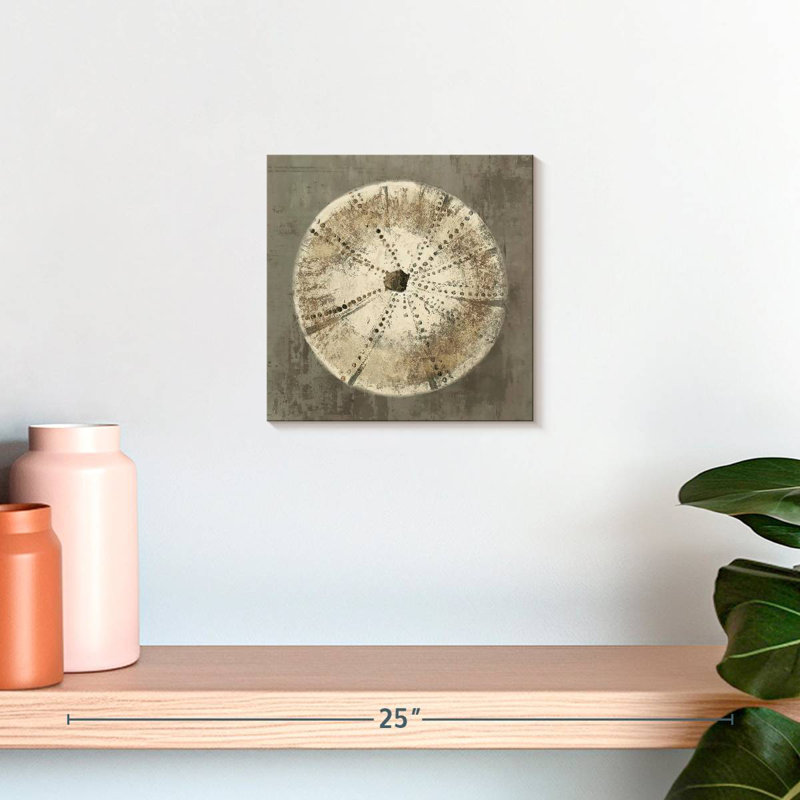 Brampt Sand Dollar I, H 10 po x l 10 po