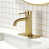 Brushed Gold selected