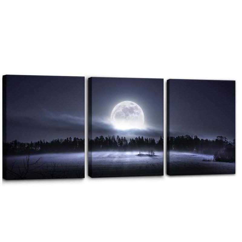 3 Piece Wrapped Canvas Print