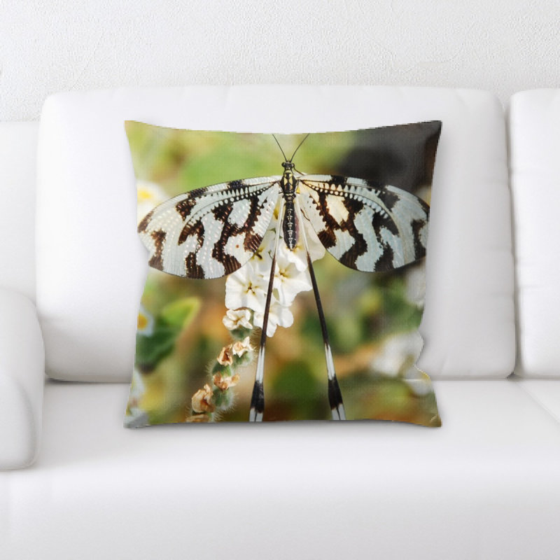 Housse et insert de coussin carré papillon