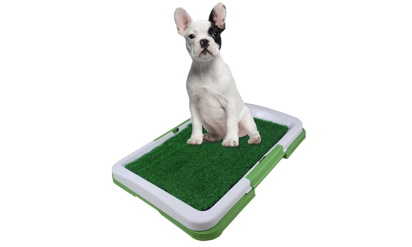 Dog 2024 bathroom mat