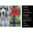 Standard Silver Poodle Christmas PoinsettIas Kitchen Towel-2080583741