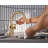 Moen Cia Motionsense Wave Touchless Single Handle Bathroom Sink Faucet with Drain Assembly-60735792