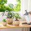 Ceramic Pot Planter-534234031-534234028