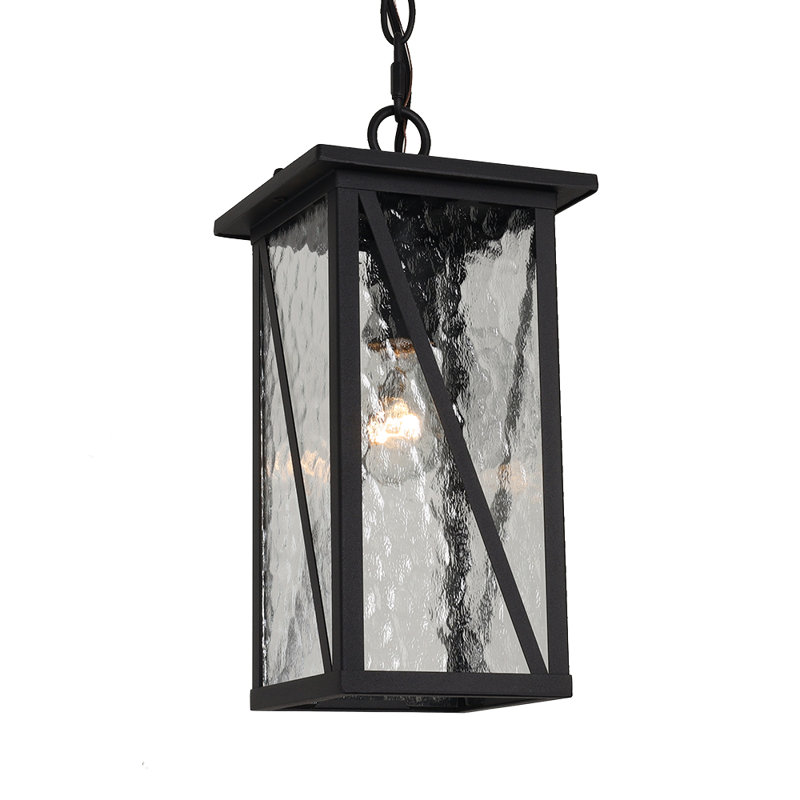 Lanterne suspendue d'extérieur 1 lumière en verre transparent et finition noire