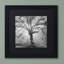 «Lightning Tree II» par Moises Levy - reproduction de photo sur toile encadrée-15822131-40232342
