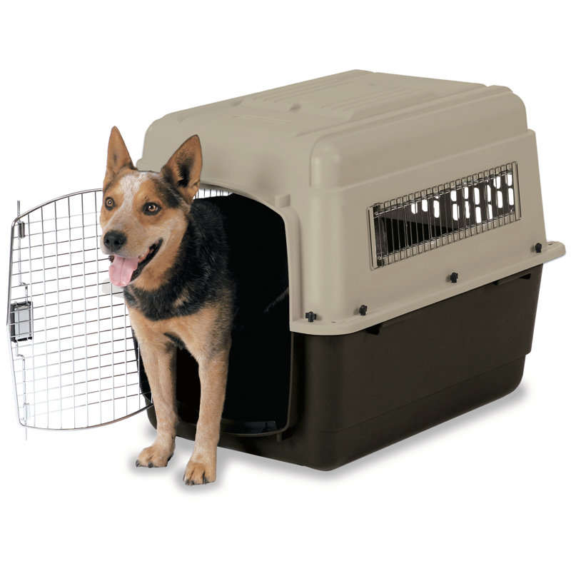 Sac de transport d'animal Ultra Vari, H 24 po x l 22,5 po x P 32 po