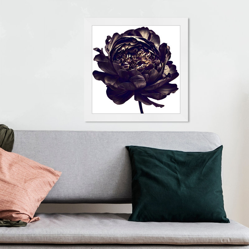 Pivoine noire - cadre photo, H 14 po x l 14 po, Cadre blanc