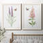 «Wildflower Botanical I», ensemble de 2 reproductions d'art-923653538-808463890-923653541
