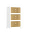 Ensemble de 3 bacs de rangement en plastique Rebrilliant-1993401619