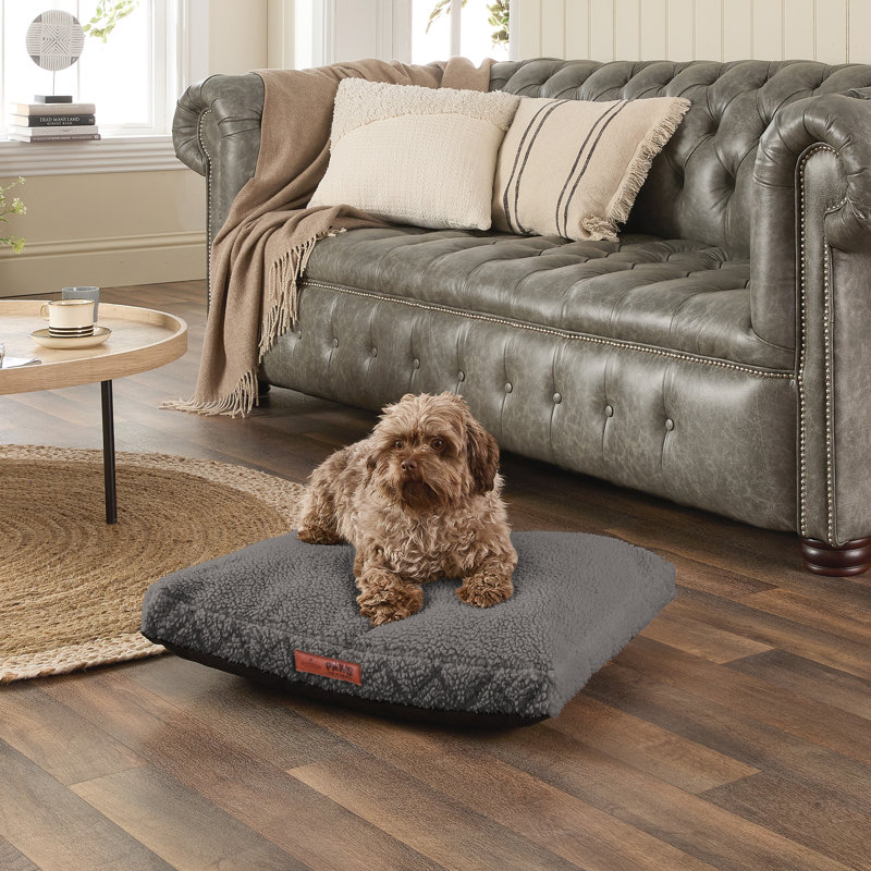 Slumberdown Paws for Slumber Sherpa Pet Bed Cover, 5 H x 80 W x 60 D cm, Beige