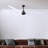 Alessandra 72'' Ceiling Fan-615459971-670286290