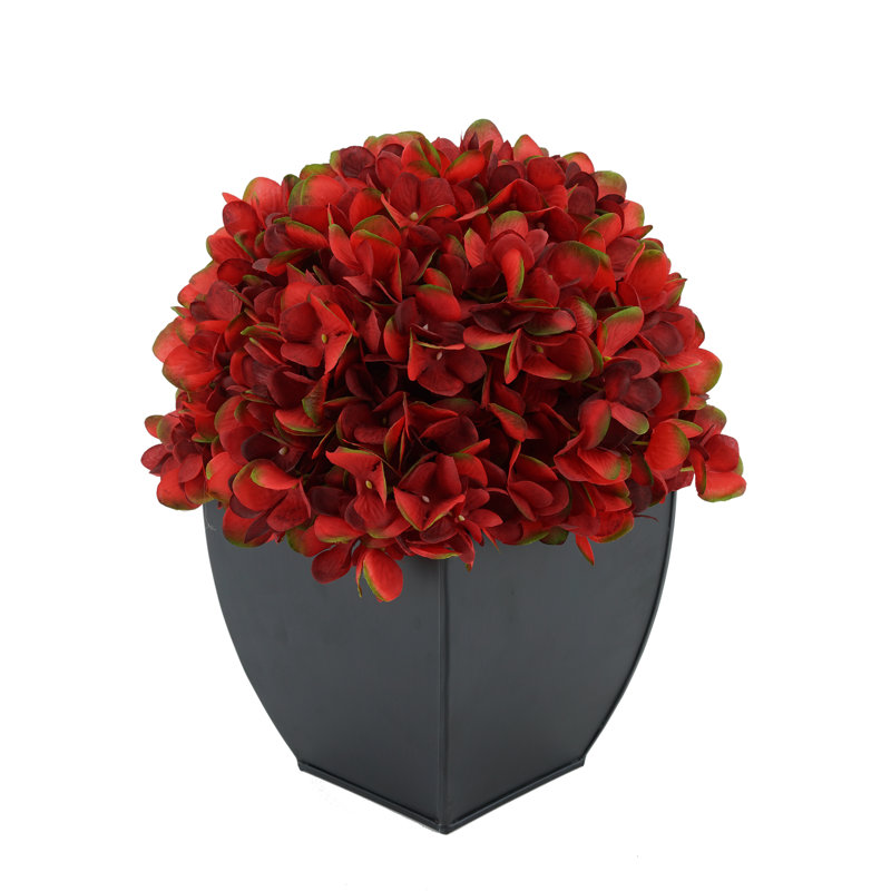 Arrangement floral hortensia en pot, Bourgogne