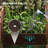 Delvallo Elevated Planter