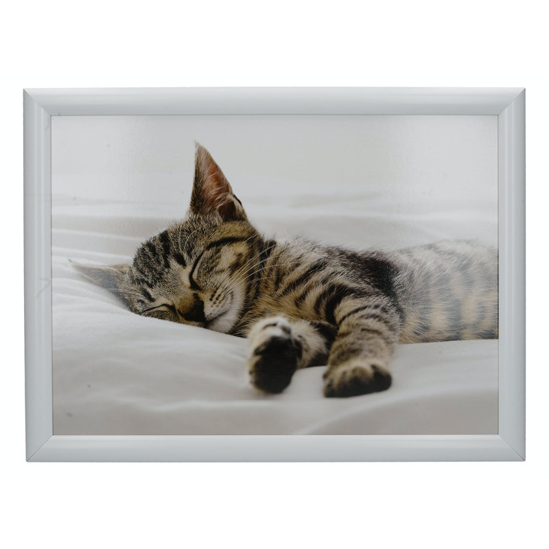 Animals Wood Tray