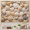 Beige palourde coquillage symphonie II, reproduction d'art sur toile