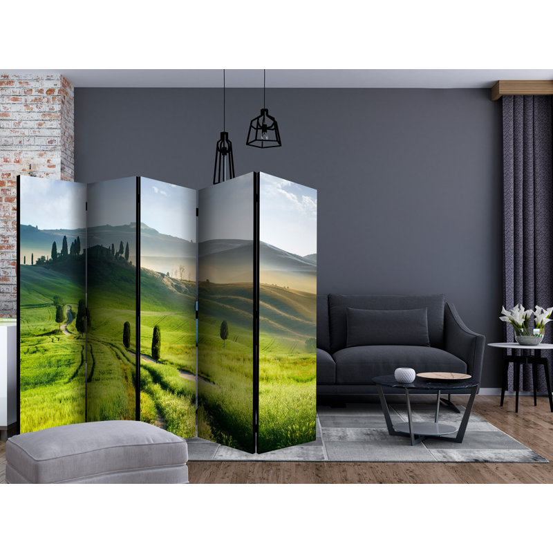 Besly 225cm W x 172cm H 5 - Panel Folding Room Divider
