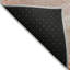 Chayden ACN1099 Machine Washable Indoor/Outdoor Salmon Rug-100140970