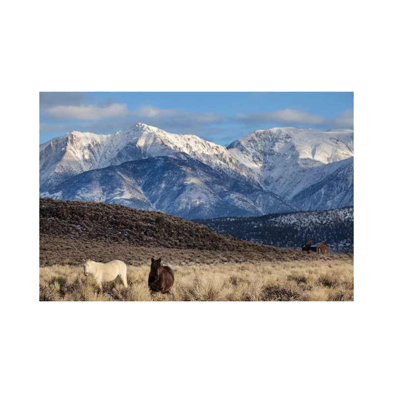 Usa, California. White Mountains And Wild Mustangs In Adobe Valley. by Jaynes Gallery - Wrapped Canvas Print
