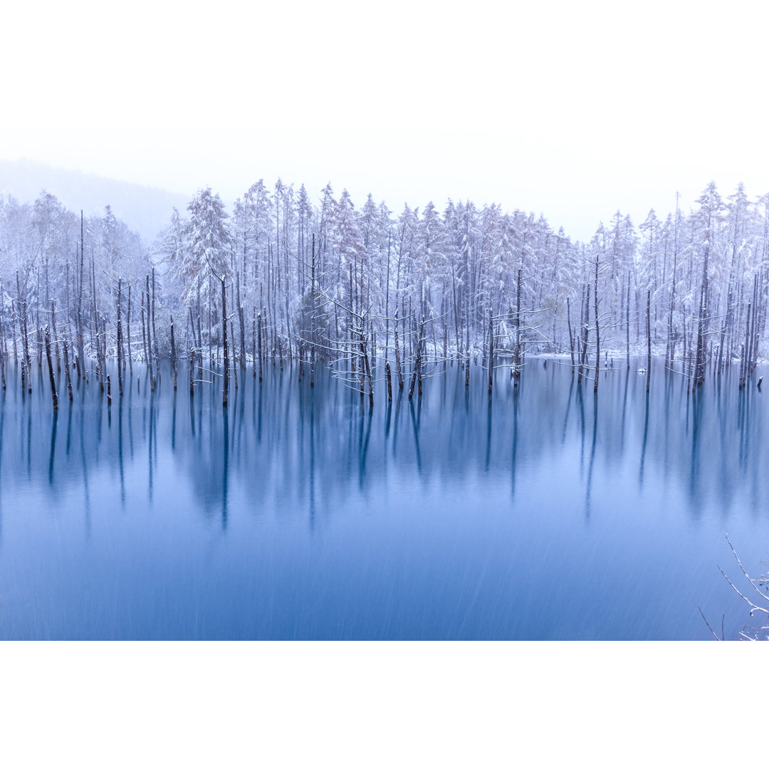 Leinwandbild The Blue Pond in Winter