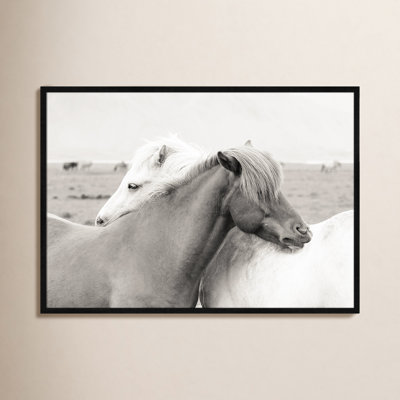 Melanie "Icelandic Meadow Horses" Print