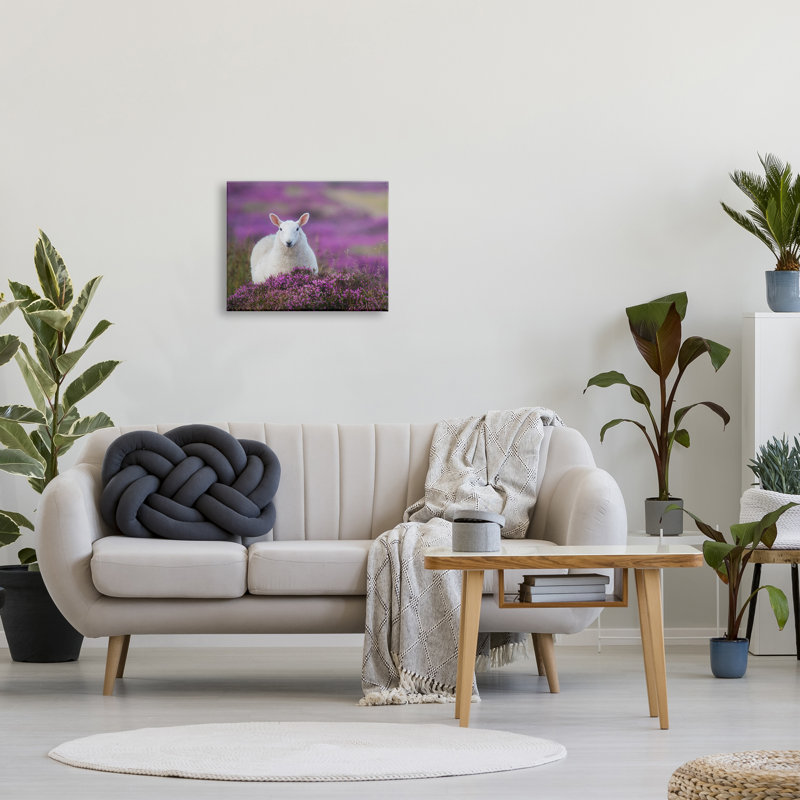Élégant mouton blanc parmi une prairie fleurie par James Dobson - Photographie sur toile tendue, H 16 po x l 20 po x P 1,5 po