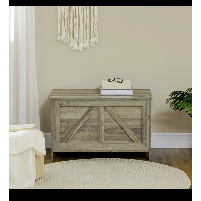 Armoire de rangement 30 po Delmita