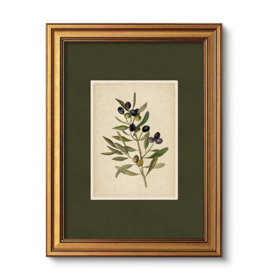 Vintage Gold Framed Wall Art, Olive Canvas Painting, Vintage Olive Tree Decor for Kitchen, Farmhouse Aesthetic Botanical Pictures, Minimalist Canvas for Bedroom Bathroom Living Room, 12x16inch