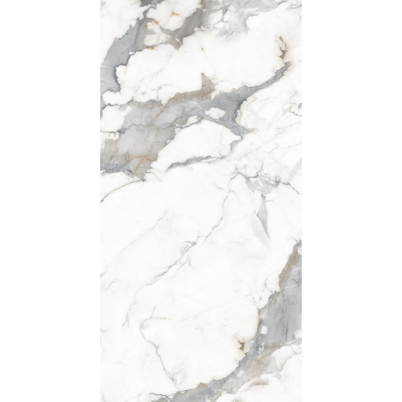 Calacatta Carrara 24'' x 48'' Marble Look Wall & Floor Matt Porcelain Tile