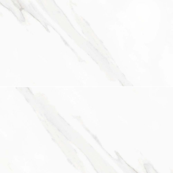 Delaney 24" x 48" Polished Porcelain Floor and Wall Tile