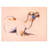 " Camel " Print-29496419
