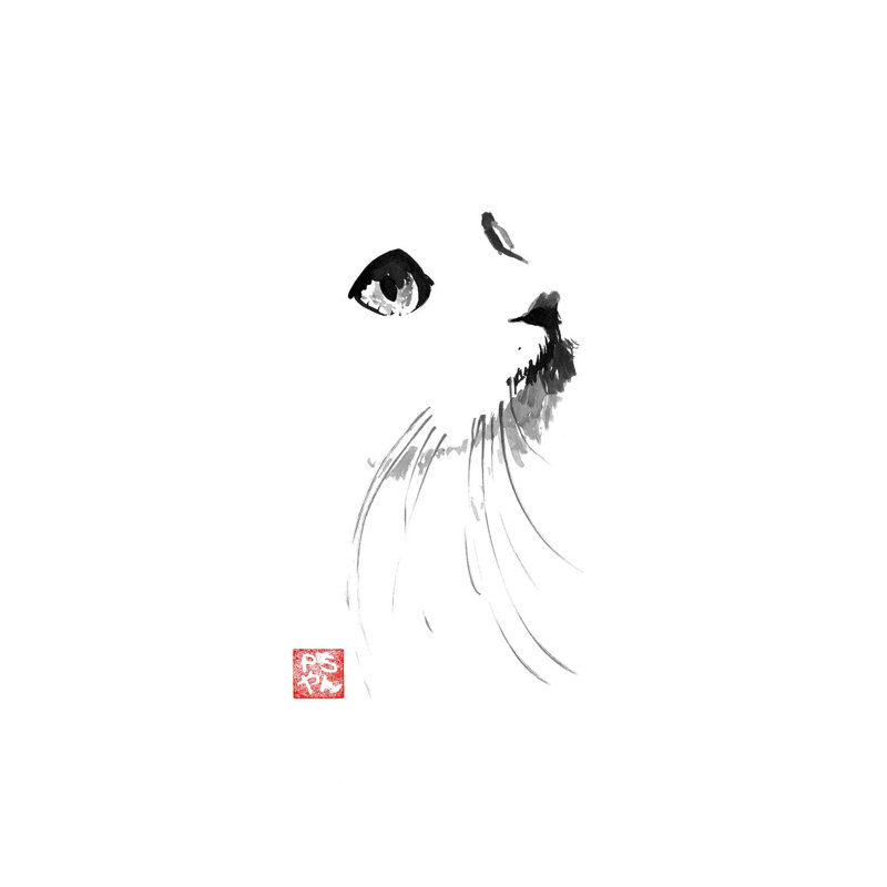 Cat in White 1 Piece Wall Art on Canvas, 20.32 cm H x 30.48 cm W, Wrapped Canvas
