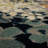 Siyuan Performance Floral Indoor Rug-804173319