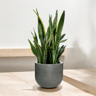 Pot de fleurs Crompond Fiberstone