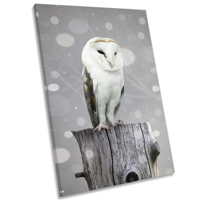 Barn Owl - Wrapped Canvas Print
