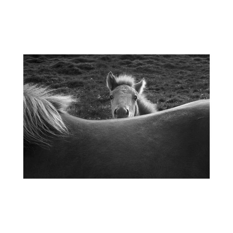 Mother's Back by John Fan - Wrapped Canvas Print, 20.32 cm H x 30.48 cm W