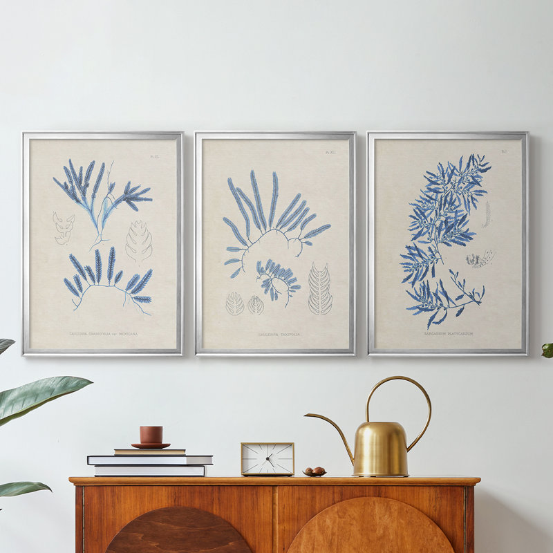 Blue Blue Algae I - Toile tendue avec châssis sur mesure - 3 pièces, Argent argent, H 15 po x l 19 po