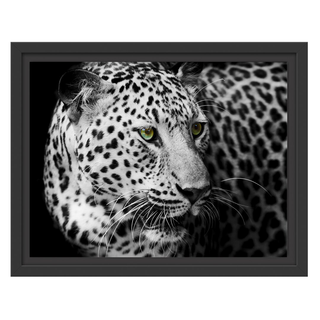 Gerahmtes Wandbild Dark Leopard mit grünen Augen