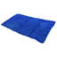 Tapis bleu Pinson