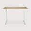 Bok Standing Desk-1766919454-1766919449