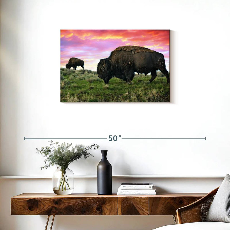 Brampt Bison And Buffalo, 20" H x 30" W