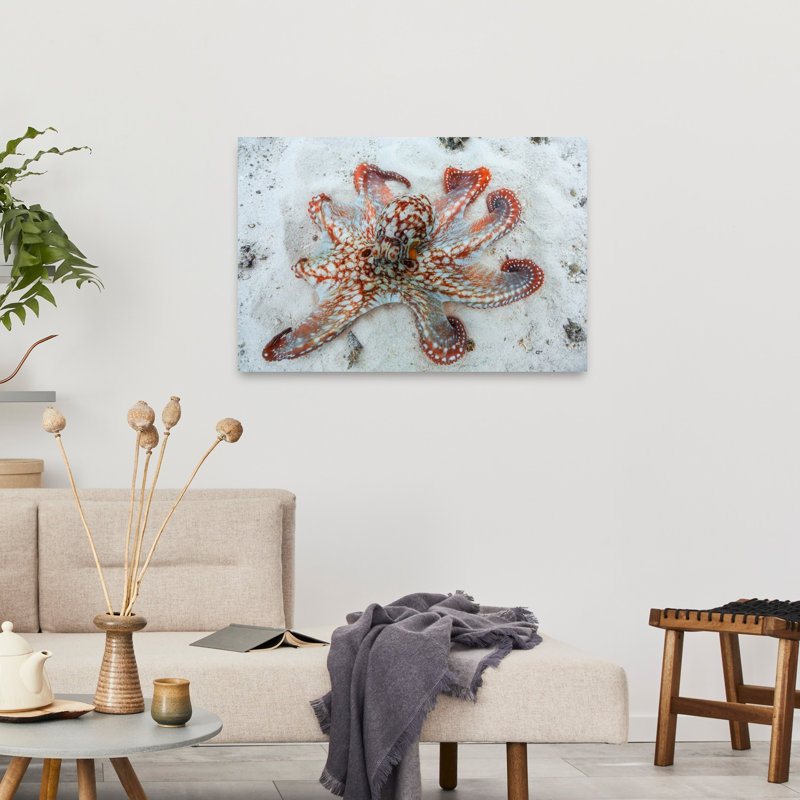 Speckled Octopus On Sand Contemporary Octopus Nature Ocean Wall Art Print 1 Piece Wrapped Canvas Wall Art